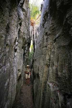 Tsingy de Bemaraha