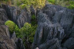 Tsingy de Bemaraha