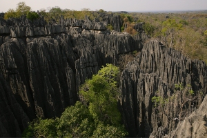 Tsingy de Bemaraha