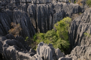 Tsingy de Bemaraha