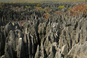 Tsingy de Bemaraha