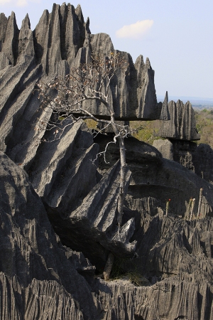 Tsingy de Bemaraha