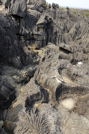 Tsingy de Bemaraha