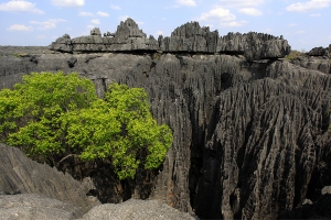 Tsingy de Bemaraha