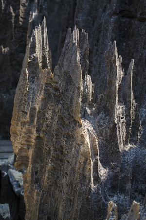 Tsingy de Bemaraha