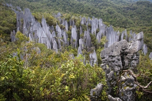 Pinnacles