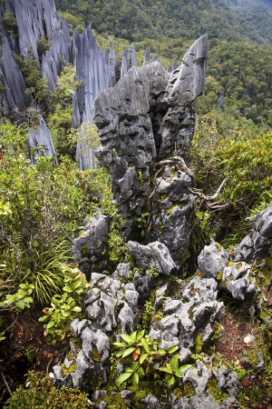 Pinnacles